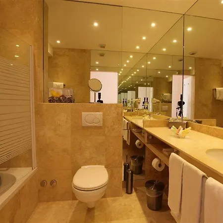 Du Grand Excelsior 4* Montreux