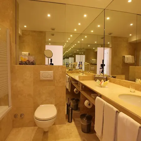 Du Grand Excelsior מלון 4*