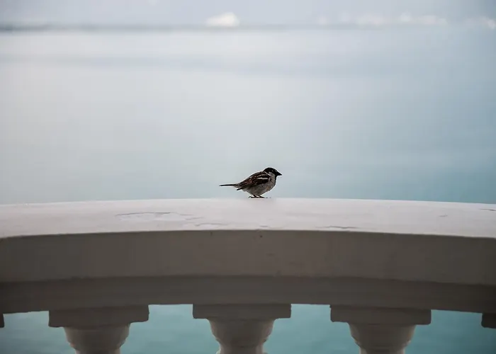 Du Grand Excelsior Otel 4*