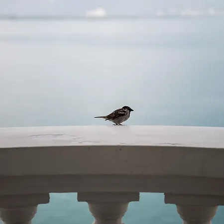 Du Grand Excelsior מלון 4*