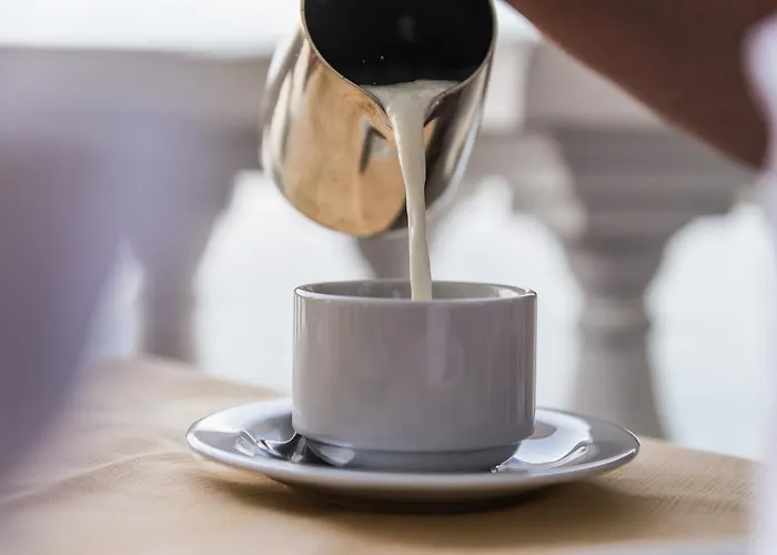 艾克森耶大酒店 4* 蒙特勒